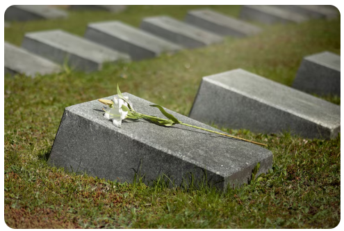 Die Kunst der Erinnerung: Das Leben geliebter Verstorbener ehren Leben